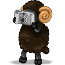 Иконка, картинка с овцой