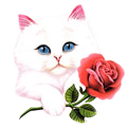 иконка, кошка с цветком